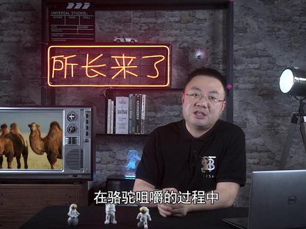 骆驼为什么能吃仙人掌,它不怕扎嘴吗(2)