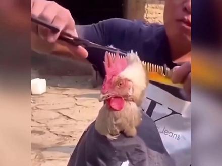 盘点那些不干人事的老六