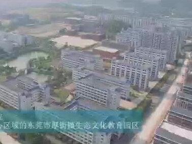大湾区的一颗教育明星