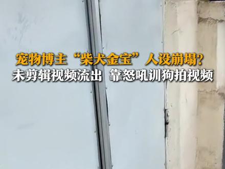 10月27日,有网友发文称其发现百万粉丝宠物博主“柴犬金宝”于深夜发布一段未剪辑原视频。视频中该博主不断对狗怒吼,与往日温馨互动判若两人。