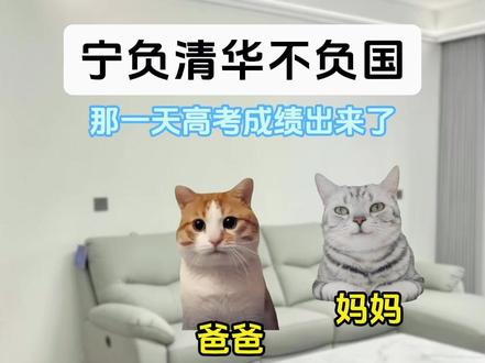 去时胸带红花,归时身盖红旗 #猫meme #致敬英雄 #王成龙 #向英雄烈士致敬