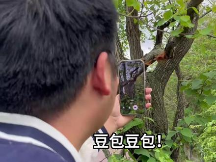 豆包 现在道歉是不是有点晚了呢!!! #相信ai的下场 #豆包知道 #人工智障