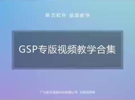 新页GSP专版视频教学合集