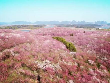现代诗《我想谈说种种纯洁的事情》:明空草地,荡涤心灵 #现代诗 #何其芳