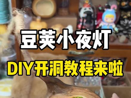 豆荚小夜灯开洞教程来啦,超级解压#手作diy #微缩场景 #创意diy #榼藤豆荚 #豆荚手工