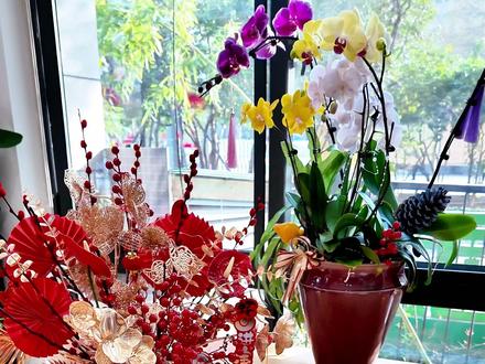 作业帮新品T60学习机 作业帮全新升级,新一代AI贴身家教,AI老师一对一,现在进直播间,还有礼品福利,都在直播间,抓紧来看看吧!!!#作业帮 #学习机 #辅导学习 #作业帮T60 #AI贴身家教