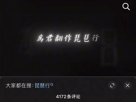 为君翻作琵琶行#琵琶行