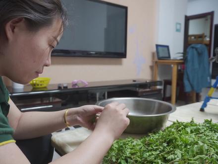 山楂芽,是民间土郎中推荐的“超级健康食材”但却有很多人都吃错