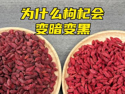 中宁枸杞 枸杞放久了为什么会变暗变黑,怎样辨别好的枸杞?枸杞为什么会发黏结块。#枸杞