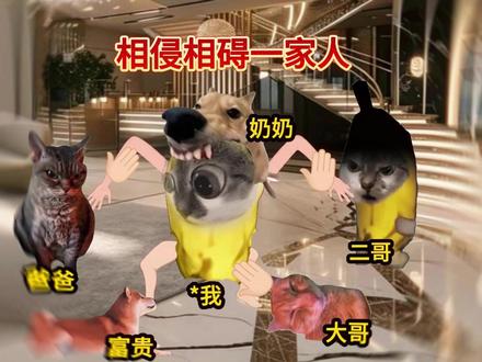 《苏打认同》1.0 #猫meme #猫meme日常 #猫meme故事 #小说