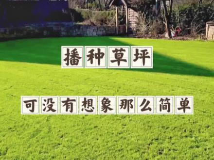 撒种子就能收获一片草坪,可没有想象中简单哦,这些要点可要记住。#草坪播种 #草坪草皮 #花园草坪