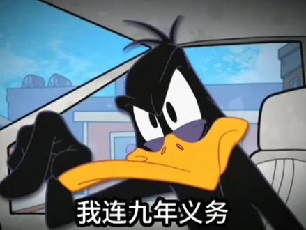 我连九年义务都没有读明白,你让我去读人心#愤怒的唐老鸭 #唐老鸭配音