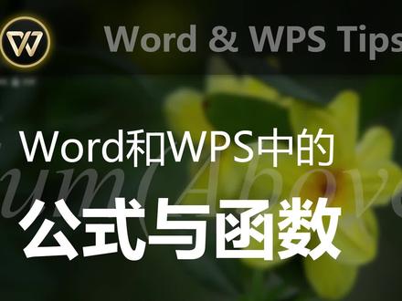 在Word和WPS中使用公式与函数,快速完成数据处理 #word #wps @DOU+小助手
