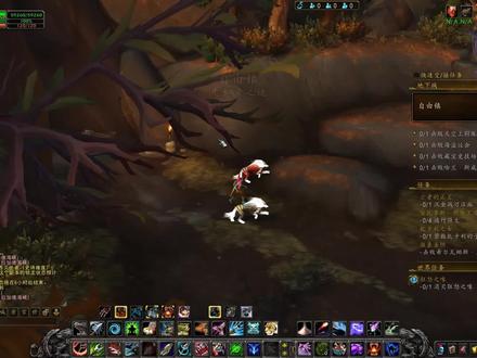 可爱的小鹦鹉坐骑鲨鱼饵,都刷到了吗?魔兽世界单刷M自由镇尾王 #魔兽世界 #魔兽世界坐骑攻略 #游戏日常