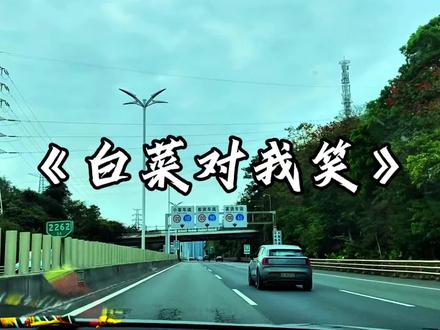 白菜对我笑 白菜对我笑.#白菜对我笑 #funk #音乐分享 #和平精英