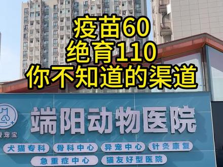 你不知道的宠物救助渠道,以前给猫绝育是真贵,如果是领养的猫不妨来这些地方看#猫打疫苗 #猫绝育 #宠物医院 #猫猫领养 #猫猫救助站