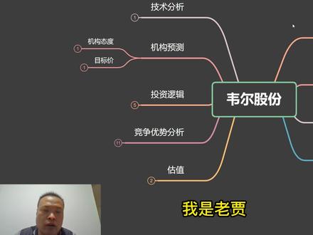韦尔股份 竞争优势和投资逻辑分析