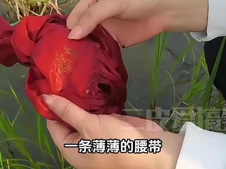 你是人类,我无法全然信任你,可你是我的妈妈,我想最后再看看你#格林 #李微漪 #重返狼群