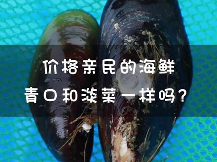为什么一个叫青口,一个叫淡菜,还有一个叫海虹是怎么回事?#青口 #淡菜 #海虹 #贻贝 #希望能帮到有需要的人 #滋补养生食材