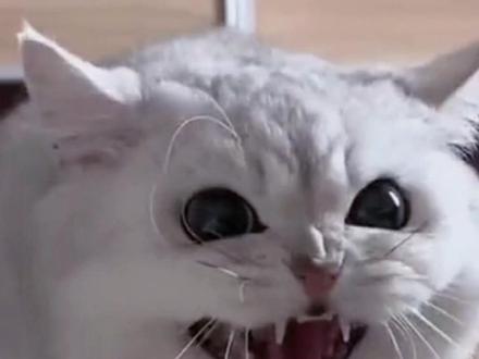 分享九种修复拉链的方法,希望能帮到你#生活 #生活小妙招