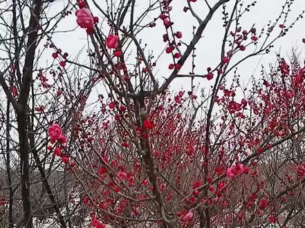 20260第一场雪。