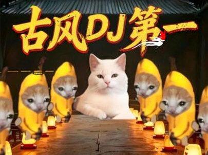 古风dj千千万 谁才是你心目中的第一#猫meme #古风歌曲 #古风dj #音乐分享 #精卫
