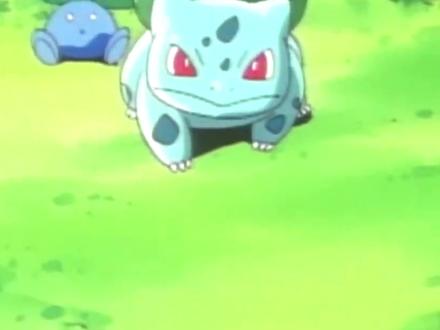 妙蛙种子进化链 #动漫剪辑 #妙蛙种子 #神奇宝贝