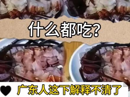 什么都吃?广东人这下解释不清了 #广东吃货的世界杯攻略搞定了 #广东美食 #南北差异