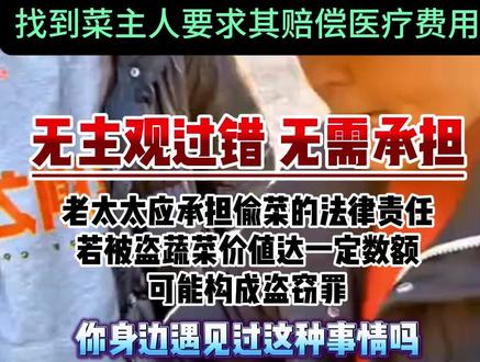 老人偷摘别人菜出问题竟索赔#法律咨询