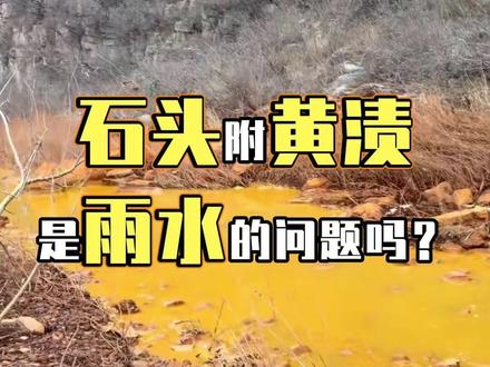石头附黄渍,是雨水的问题吗?#山西 #晋城 #污染 #环保 #污水