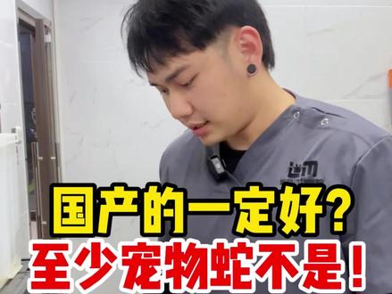 国产的一定好?至少宠物蛇不是! 国产的一定好?至少宠物蛇不是!#新手养蛇 #蛇 #宠物知识 #科学养宠 #宠物蛇