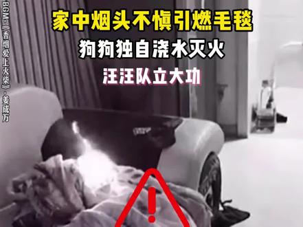 狗狗:“这个家要是没有我,早晚得出事”#狗狗 #狗狗的心思都写在脸上了 #万物皆有灵性 #画画 #香烟爱上火柴