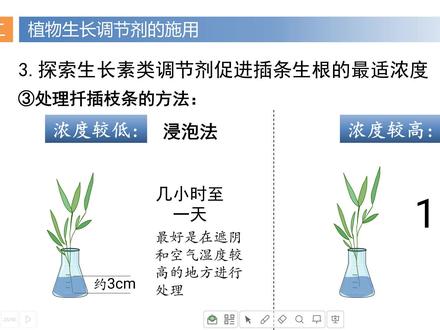 5.3植物生长调节剂的应用 第2节课