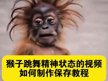 猴子跳舞表情包 /?冻物正小貓星在咖啡喔地典
/?#3e4f3XqGA4#
精神状态的视频怎么拍 精神状态belike原视频下载 猴子跳舞表情包一键获取教程,我每天的精神状态belike表情包,猴子跳舞表情包微信版动图保存教程。猴子跳舞表情包,马喽跳舞表情包,猴子跳舞表情包动图,猴子跳舞表情包gif,马喽跳舞表情包动图#猴子跳舞表情包 #猴子跳舞