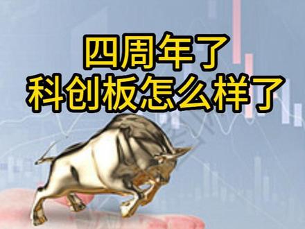 四周年了,科创板怎么样了?#科创板