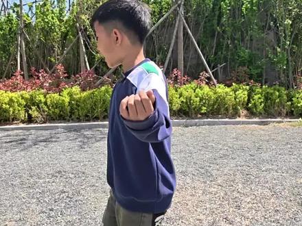 国产积木拼搭:三角洲行动威虫#三角洲行动 #威虫 #威龙 #积木 #玩具