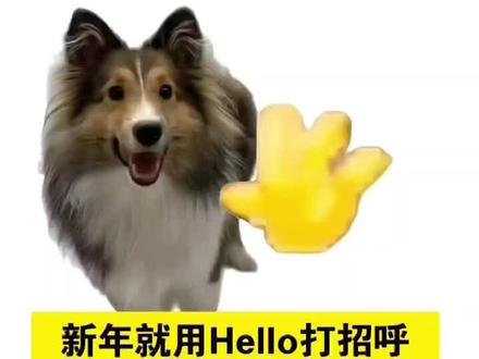 新年就用hello打招呼,hello挥手小猫模板 hello挥手小猫制作教程 新年hello打招呼模板 hello挥手小猫特效 新年就用hello打招呼 #新年就用hello打招呼 #hello小猫 #hello挥手小猫 #hello猫咪 #剪映 hello挥手小猫教程 hello小猫模板 hello挥手小猫 hello小猫 hello小猫特效 哈喽小猫 小猫挥手 hello小猫教程 hello新年打招呼 新年hello拜年 hello新年好 hello挥手小猫表情包 hello小猫表情包 新年hello开场白 新年用hello打招呼 hello新年问候 新年hello挑战 hello小猫打招呼 新年hello祝福语 hello小猫视频 hello小猫壁纸 hello小猫头像 hello小猫卡点