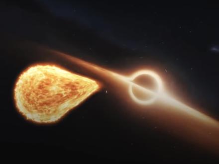 宇宙中的恐怖黑洞 数量庞大到你难以想象 #宇宙黑洞 #黑洞 #黑洞是什么 #天体