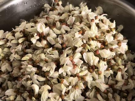 让我看看哪个陕北人还没吃过槐花丸子?#洋槐花 #槐花麦饭 #做美食 #农村美食 #大自然的馈赠