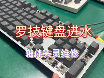 罗技键盘进水轴体失灵维修#罗技键盘 #键盘维修 #罗技键盘维修#键盘更换轴体 @DOU+上热门 @抖音热点宝