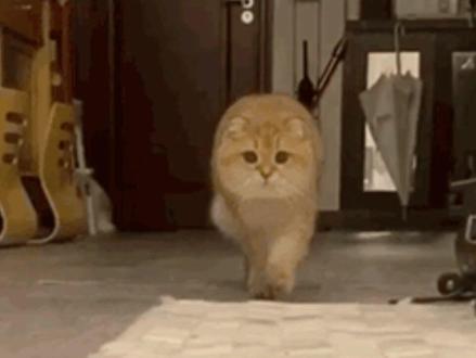 声音弹幕,轻松解锁合唱曲#回森