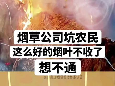 纸也能做烟丝?😳 #遥遥领先