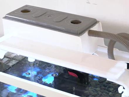 鱼缸顶部过滤器过滤盒子上置滴流盒净水培菌过滤槽水族箱养#好物推荐🔥 #实用好物 #精选好物 #质量杠杠的好 #萌宠好物 #产品展示