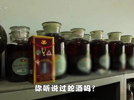 药酒变“丧命酒”!泡了22年的蛇酒,喝一杯就中毒,蛇酒还能喝吗?(一) #药酒 #蛇酒 #科普 #酒文化