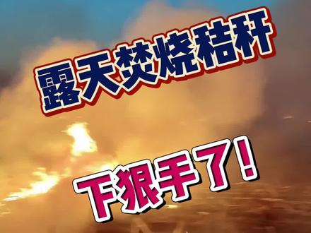 秸秆焚烧权衡利弊吧#秸秆焚烧