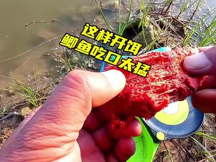 实测很有用的开饵方法,单看进食状态就很不一般#户外钓鱼 #野钓鲫鱼 #饵料搭配 #开饵技巧 #拉饵