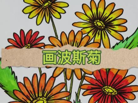 教大家画波斯菊