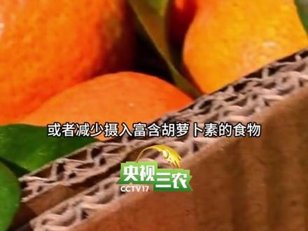 砂糖橘是早上买的,人是中午“变黄”的!这种春节热门水果,切勿多吃!#媒体精选计划 #春节 #砂糖橘
