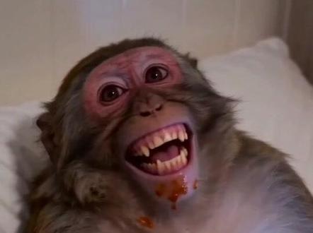 #AI深夜偷吃被抓记 #随变ai随便玩 动画片 #3到6岁儿童动画片 #儿童搞笑视频 #动画片