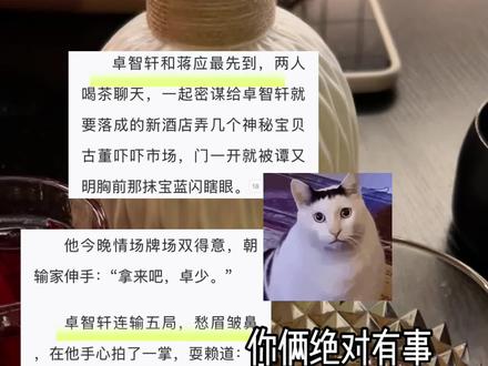 你俩啥时候和好的#小潭山没有天文台 #卓智轩 #蒋应